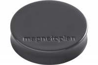MAGNETOPLAN Magnet Ergo Medium 10 Stk. felsgrau 30mm, 16640101