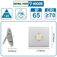 Flutlicht mit einer COB-LED, 50 Watt, silber